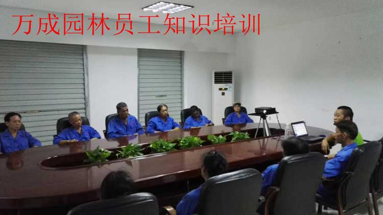 萬(wàn)成園林員工知識(shí)培訓(xùn)
